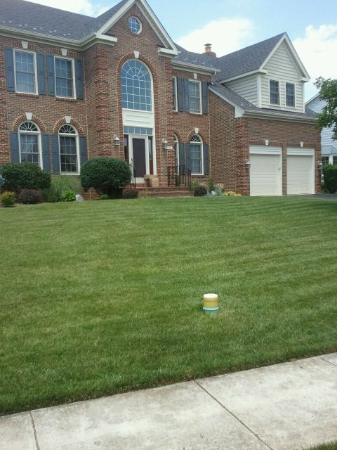 full-service-lawn-care-arnold-s-landscaping